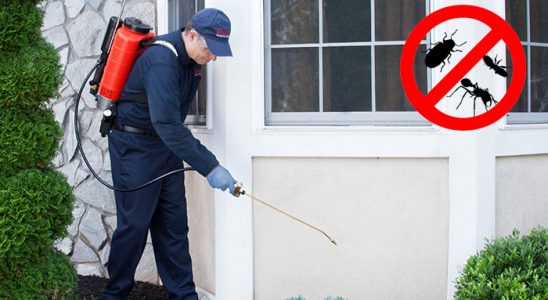 Karamürsel Dezenfeksiyon böcek ilaçlama ve haşere kontrolü — ilaclama-tr.com